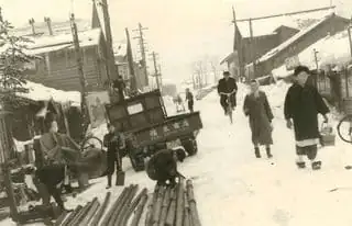 1955年